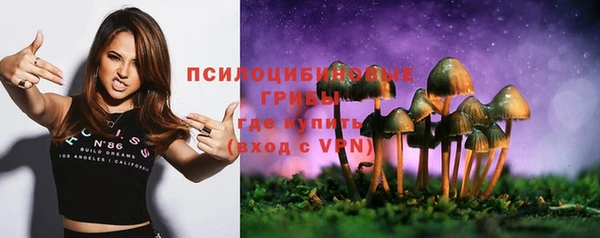 бутират Богородицк
