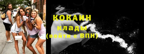 прущие грибы Белокуриха
