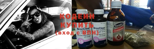 прущие грибы Белокуриха