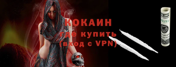прущие грибы Белокуриха
