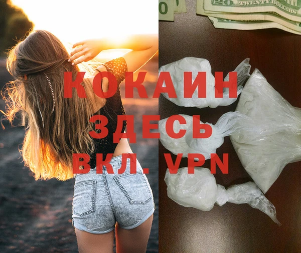 ешки Богданович