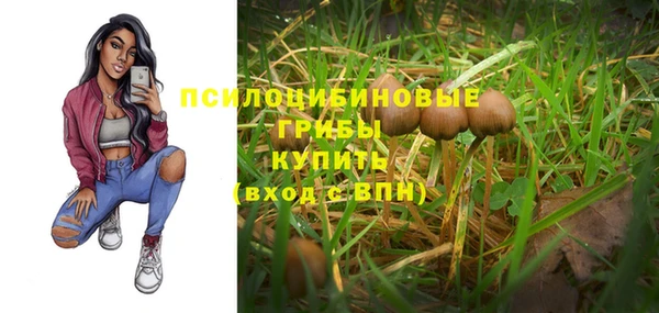 соль ск Белоозёрский