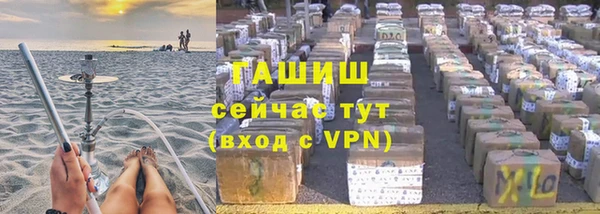 прущие грибы Белокуриха