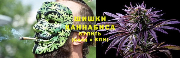 прущие грибы Белокуриха