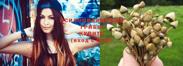 не бодяженный Богородск