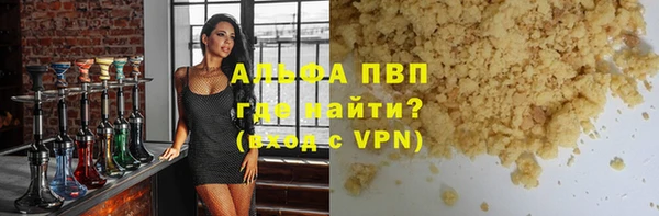 прущие грибы Белокуриха