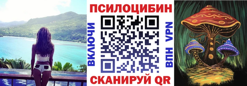 ОМГ ОМГ ссылки  Светлый  Галлюциногенные грибы мицелий 