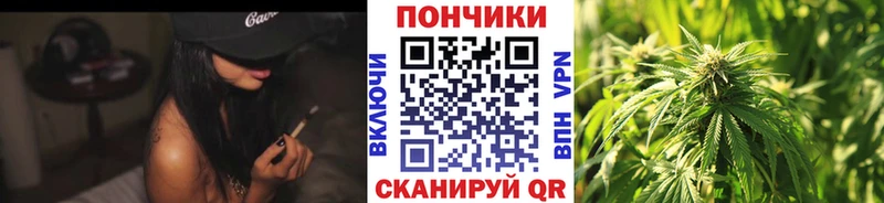 купить закладку  Светлый  это официальный сайт  Бошки марихуана VHQ 
